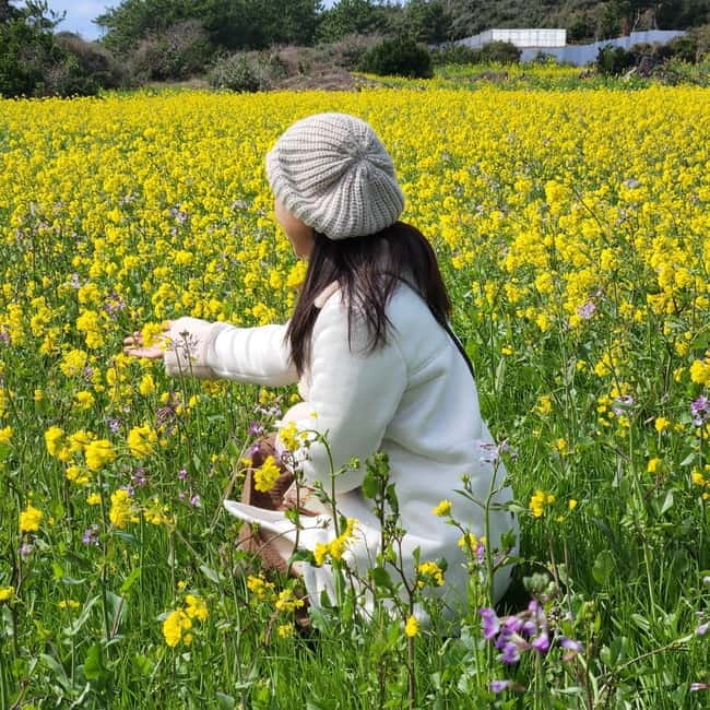 Jeju: Southern Top UNESCO Spots Bus Tour - Lunch with Korean choices