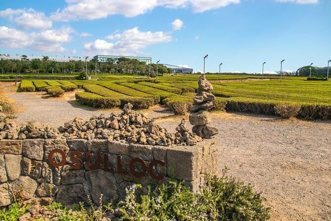 Jeju Southern UNESCO Full Day Tour with Mt.Halla - Mt. Halla’s 1100 Altitude Wetland