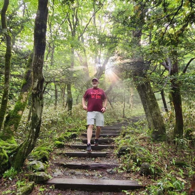 Jeju: Southern UNESCO Geopark Day Tour - Guides and the value of a moving schedule