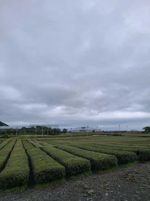 Jeju: Southern UNESCO Geopark Day Tour - Lunch is simple, local, and not included