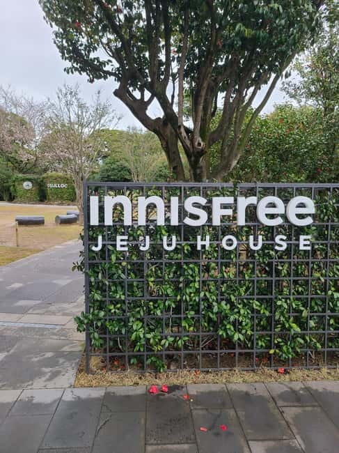 Jeju: Southern UNESCO Geopark Day Tour - O’sulloc Tea Museum and Jeju’s green fields