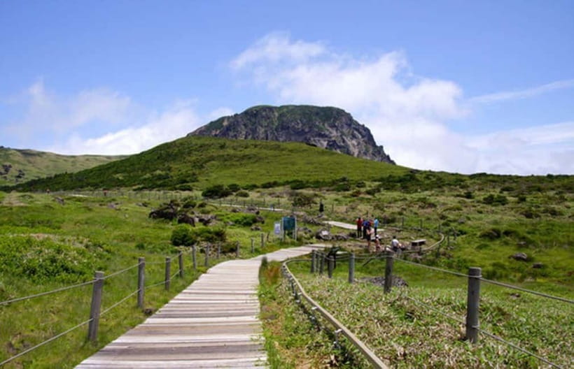 Jeju: UNESCO Day Tour for Cruise Guests - Jusangjeolli reveals Jeju’s volcanic shoreline
