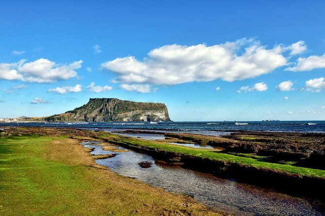 Jeju Unesco Eest course Package Private Van Guided Tour - Seopjikoji: open coast and seasonal color