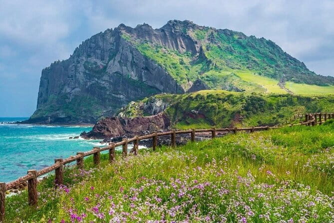 Jeju Unesco Eest course Package Private Van Guided Tour - A guide-led day with room for personal service