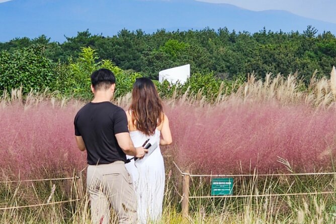Jeju: UNESCO-Listed Southern Authentic Day Tour - Key points to know before booking