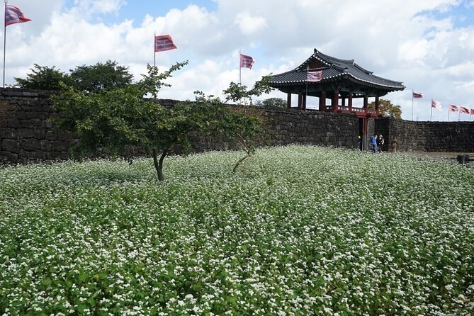 Jeju: UNESCO-Listed Southern Authentic Day Tour - Lunch at Seogwipo Maeil Olle Market