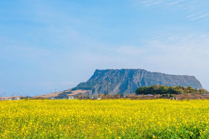 Jeju: UNESCO-Listed Southern Authentic Day Tour - Jeongbang Waterfall, where fresh water meets the sea
