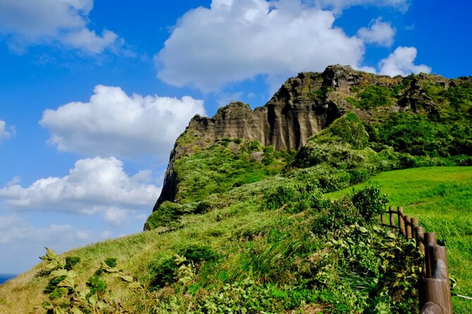 Jeju: UNESCO-Listed Southern Authentic Day Tour - Hueree Natural Life Park and a quieter finish