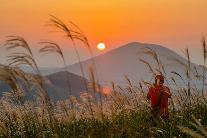 Jeju: UNESCO-Listed Southern Authentic Day Tour - The guides and the value of a shared vehicle