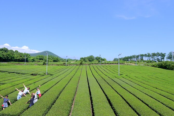 Jeju: UNESCO-Listed Southern Authentic Day Tour - Timing, route changes, and practical planning