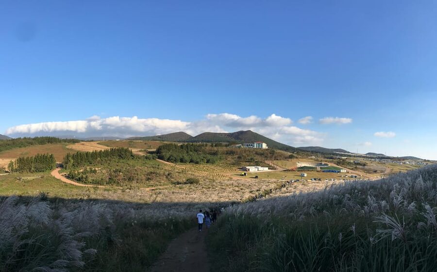 Jeju: West of Jeju Island Bus Tour from Seogwipo City - Fabio’s guiding style and the value of local explanation