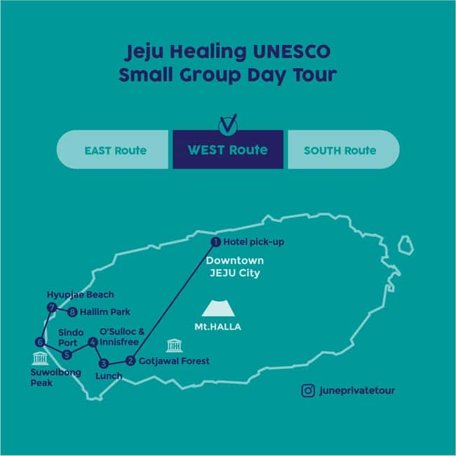 Jeju West: Small Group Healing Tour w/Caves & Dolphins - Why western Jeju works so well in one day