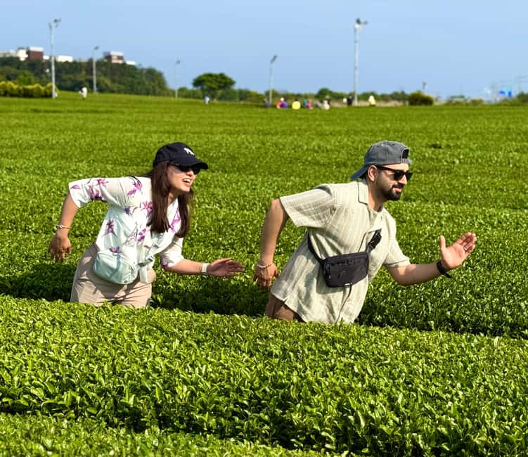 Jeju West: Small Group Healing Tour w/Caves & Dolphins - Exploring Hallim Park and its two lava tubes
