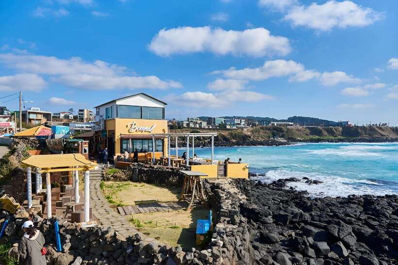 Jeju: West & South Full-Day Authentic Tour - Key points before you book