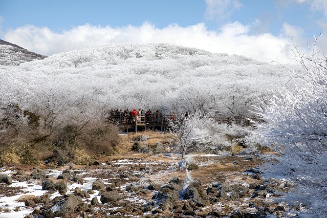 Jeju WEST&SOUTH One Day Tour with MT.halla & UNESCO - Jeongbang Waterfall and the ocean below