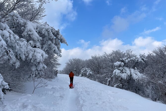 Jeju WEST&SOUTH One Day Tour with MT.halla & UNESCO - Ending at Dongmun Traditional Market