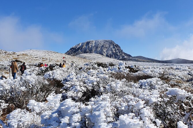 Jeju WEST&SOUTH One Day Tour with MT.halla & UNESCO - Hallasan at the 1100 Altitude Wetland