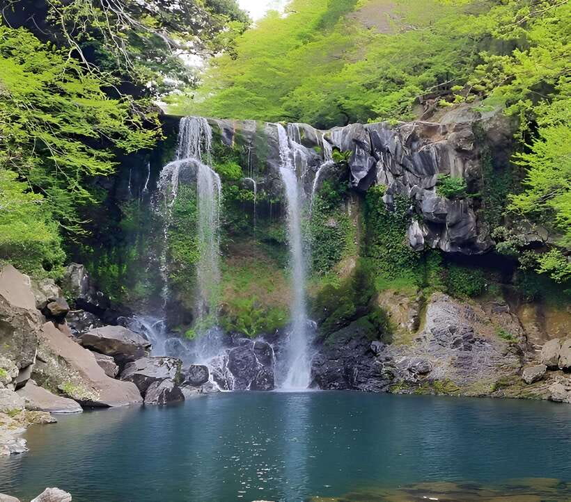 Jeju: Western & Southern Jeju Hydrangea Festival Tour - Lunch is local, but not part of the $90