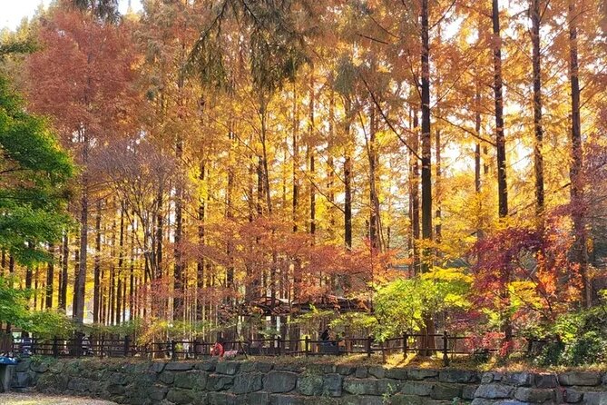 Jeonju Hanok Village Full-Day Tour: Jangtaesan Autumn Foliage - What the guide adds in Jeonju