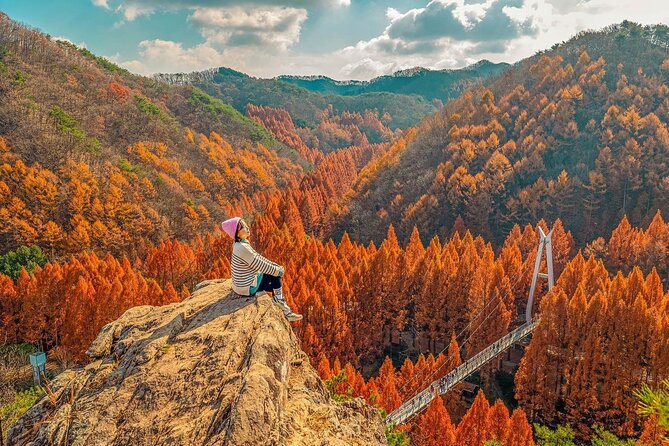 Jeonju Hanok Village Full-Day Tour: Jangtaesan Autumn Foliage - Jangtaesan Natural Forest in autumn