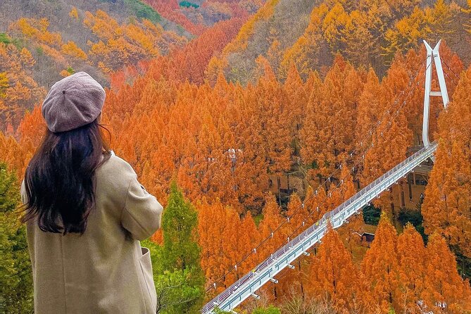 Jeonju Hanok Village Full-Day Tour: Jangtaesan Autumn Foliage - A long day, made easier by shared transport