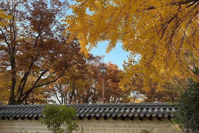Jeonju Hanok Village Full-Day Tour: Jangtaesan Autumn Foliage - Who should take this day trip