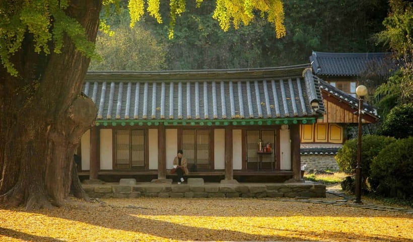 Jeonju Hanok Village Full-Day Tour:Jangtaesan Autumn Foliage - Food, drinks, and extra spending