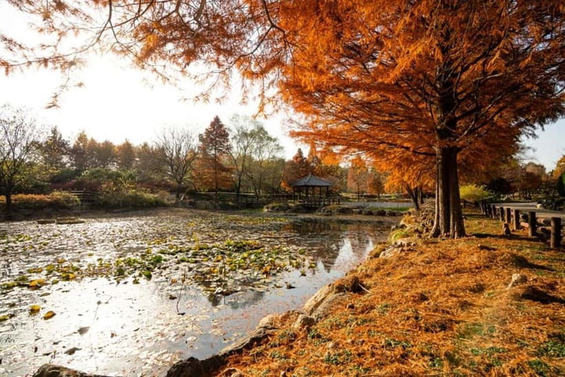 Jeonju: Private Taxi Tour Car Charter - The Best Stops for Different Interests