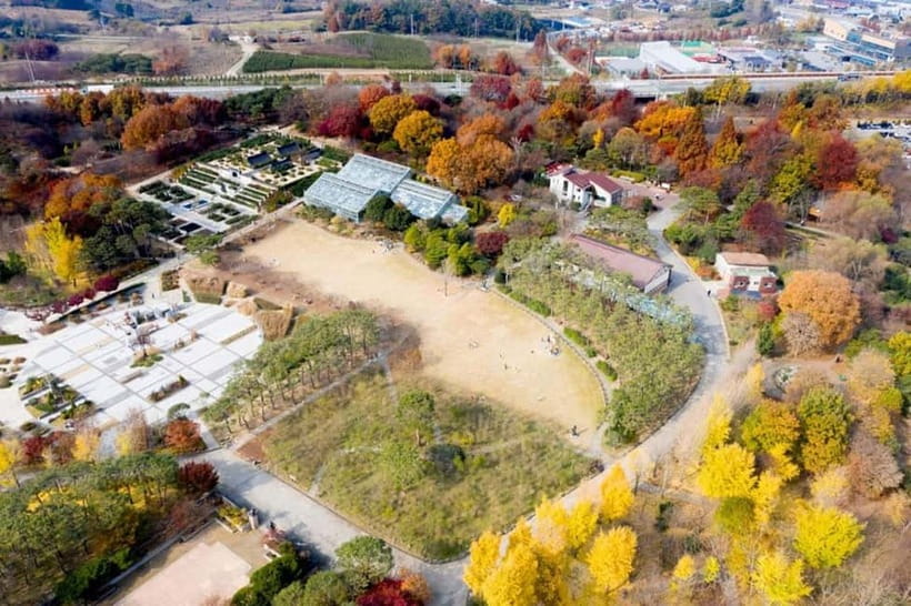 Jeonju: Private Taxi Tour Car Charter - What the Driver Does, and What the Driver May Not Do