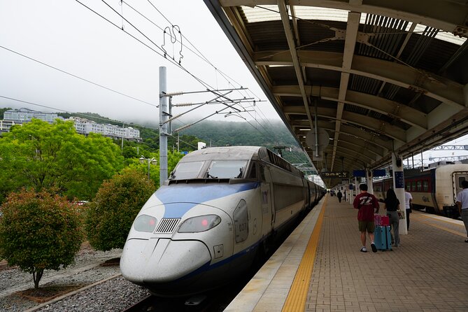 Jeonju & Yeosu: 4-Day Foodie & Artist Journey - Why this Yeosu and Jeonju route feels different