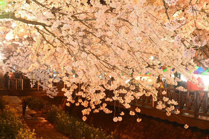Jinhae Cherry Blossom Day trip from Busan - A Spring Adventure! - Jinhae Post Office and two and a half hours of freedom