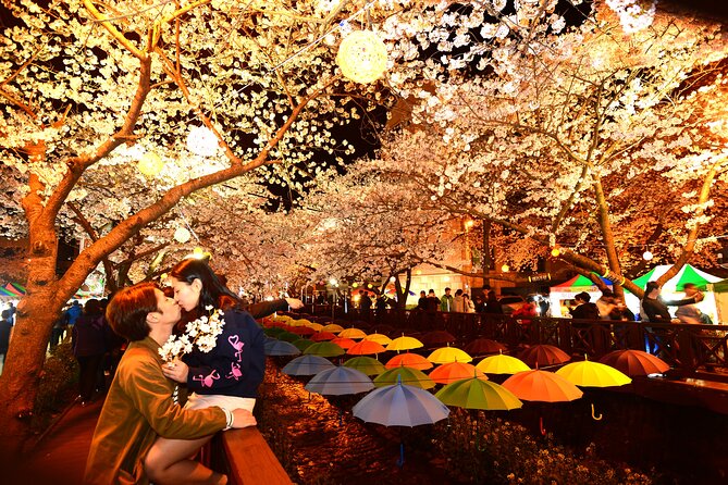 Jinhae Cherry Blossom Day trip from Busan - A Spring Adventure! - Should you book this Jinhae day trip?
