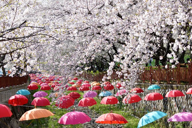 Jinhae Pink Cherry Blossom One Day Tour From Busan - Yeojwacheon Stream: three hours for a slower walk