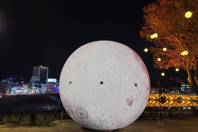 Jinju Namgang Yudeung Festival Bus tour from Busan - What is included, and what the $125 price buys you
