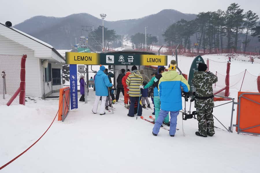 Jisan Forest Resort: Ski Full-Day Tour or Shuttle from Seoul - Arriving at Jisan and choosing your snow day