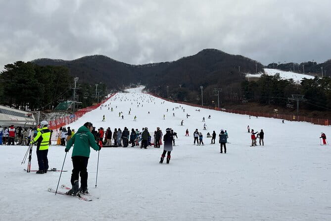 Jisan Forest Ski Resort and Everland 1 Day Tour - The long return to Seoul