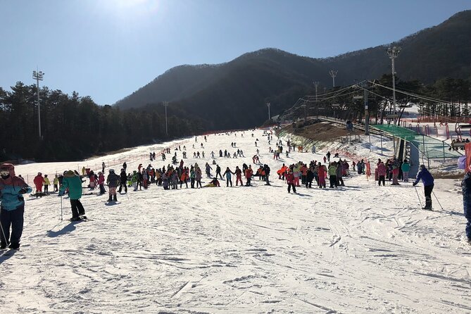 Jisan Ski One Day Tour - What the one-hour ski lesson is really worth
