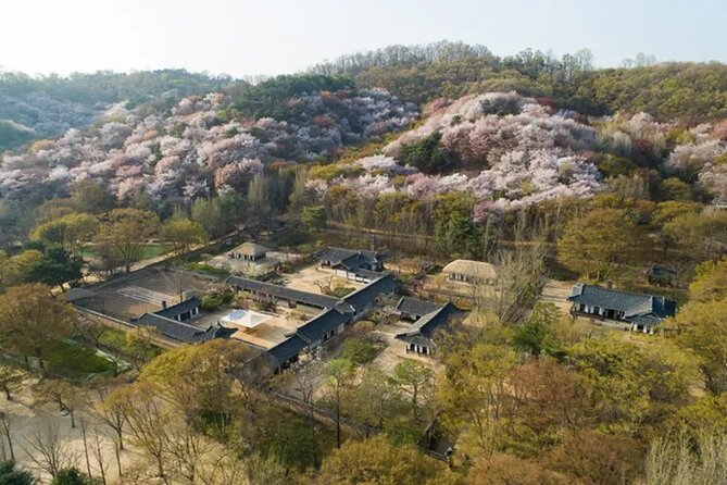 Korean Folk Village Afternoon Half day Tour - What the Guide Adds