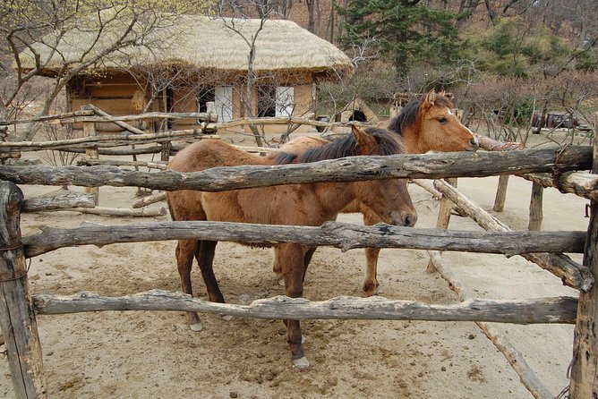 Korean Folk Village Afternoon Tour from Seoul - What the $65 price covers