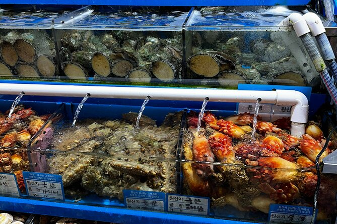 Korean Market Adventure with Chef Yie - Noryangjin Fish market - Who will enjoy this most