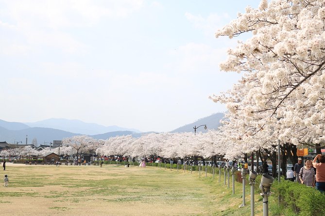 Korean UNESCO World Heritage Tour including Gyeongju, Andong and Daegu(2N3D) - Day 2: Hahoe Folk Village and Andong traditions
