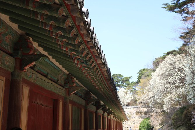 Korean UNESCO World Heritage Tour including Gyeongju, Andong and Daegu(2N3D) - Daegu’s herbal medicine quarter