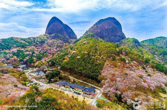 Maisan Cherry Blossom and Jeonju Hanok Village - Three hours in Jeonju Hanok Village