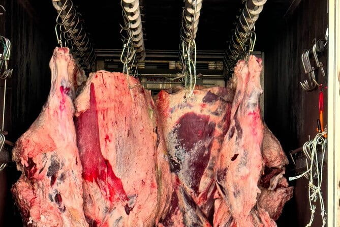 Majang Meat Market Experience: Private Tour with Han-woo Beef BBQ - Selecting 1++ Hanwoo Beef or Pork