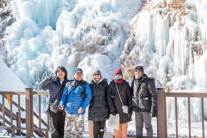 Make Your Trip Around Nami Island With an Expert(DSLR option) - Why a private car changes this Seoul day trip