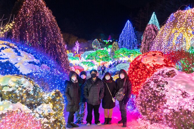 Make Your Trip Around Nami Island With an Expert(DSLR option) - Nami Island: three hours among trees and water