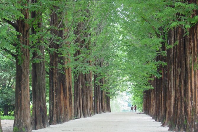 Mount Seorak and Nami Island One Day Tour from Seoul - Seoraksan National Park: the main event for walkers
