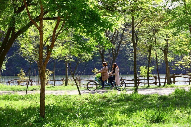 Mount Seorak and Nami Island One Day Tour from Seoul - Food, ferries, and the lunch problem