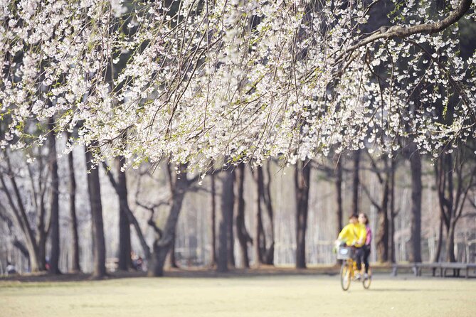 Mount Seorak and Nami Island One Day Tour from Seoul - The coach ride and the real cost of traffic