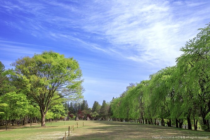 Mount Seorak and Nami Island One Day Tour from Seoul - Guides can make the difference